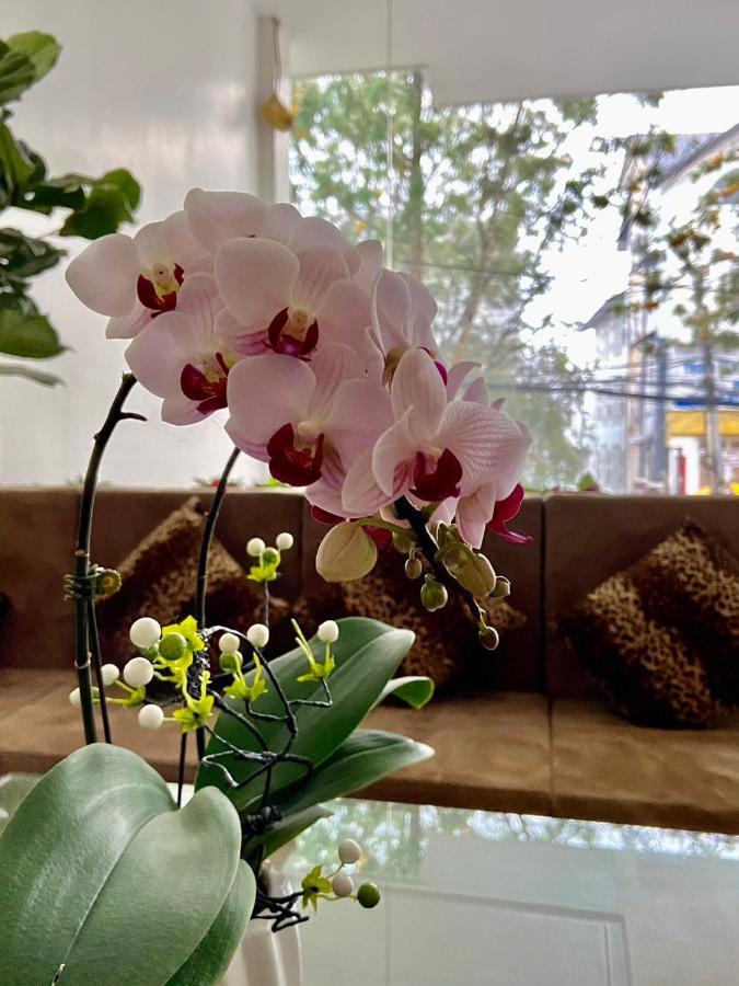 Duy Thảo Hotel Đà Lạt Ngoại thất bức ảnh